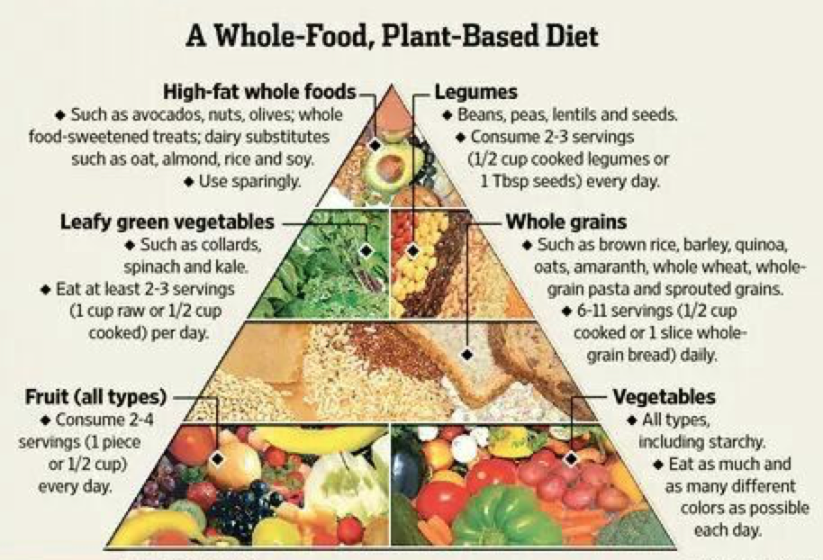 Plant-Based Diets: A Nutritional Overview