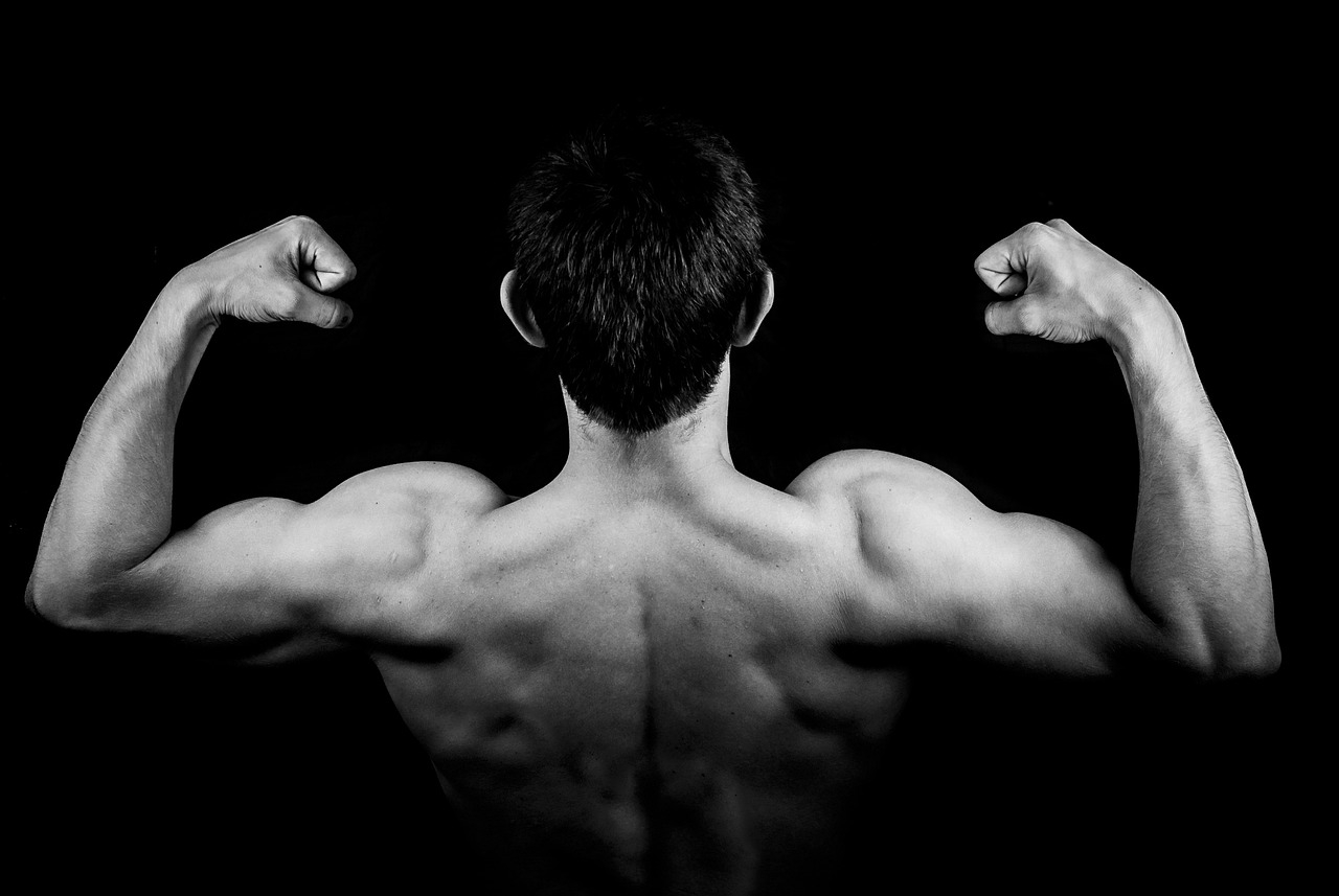 Mastering the Art of Muscle Building: A Comprehensive Guide for You