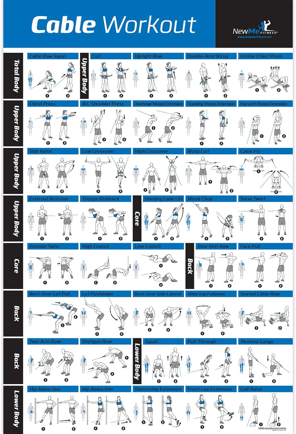NewMe Fitness Workout Posters for Home Gym - Exercise Posters for Full Body Workout - Core, Abs, Legs, Glutes  Upper Body Training Program