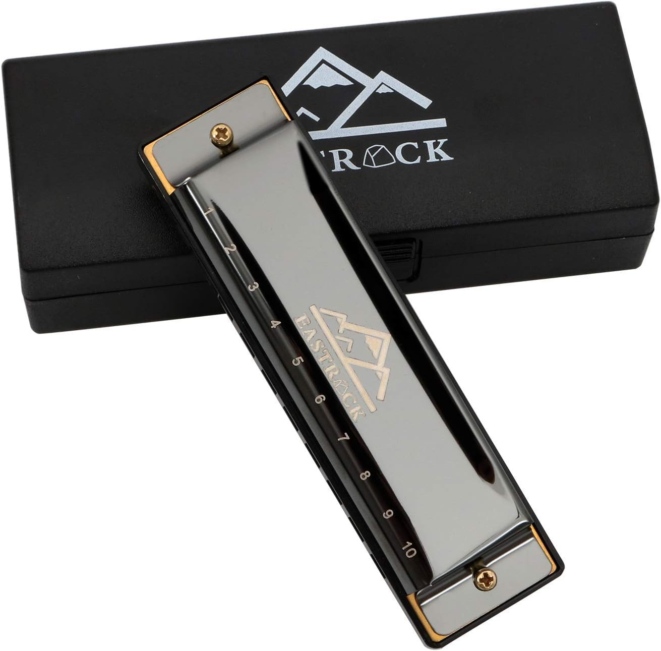 EastRock Blues Harmonica Mouth Organ 10 Hole C Key with Case, Diatonic Harmonica for Professional Player, Beginner, Students gifts, Adult, Friends, Gift Black