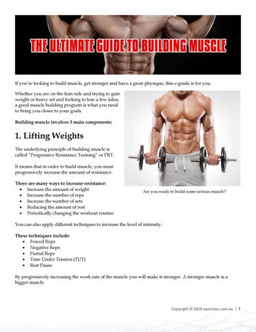 FAQ: Guide on How to Build Muscle with Weights