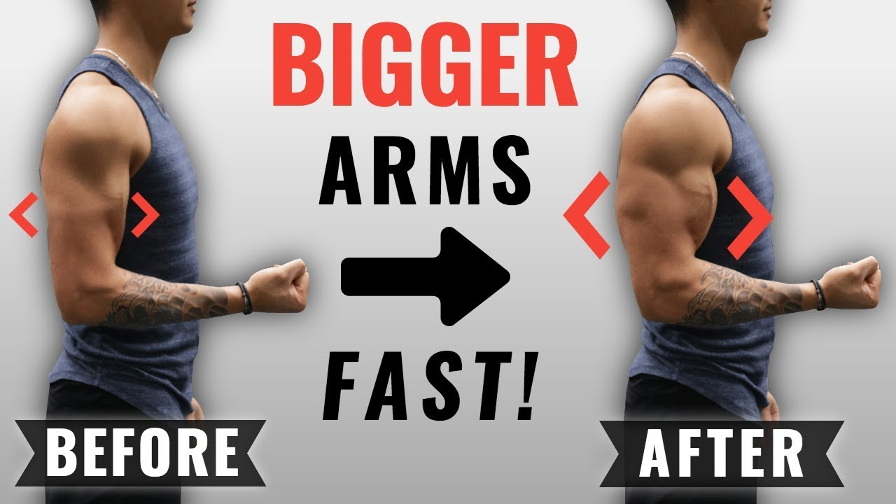 Ultimate Guide: How to Build Arm Muscle Fast